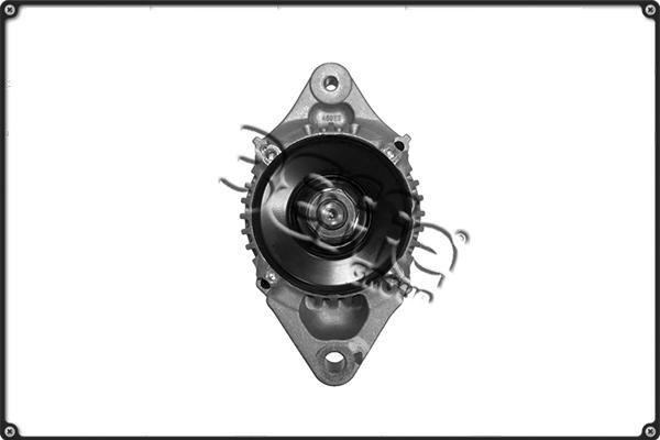 3Effe Group ALTL519 - Генератор www.autospares.lv