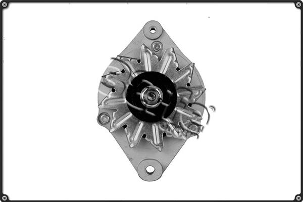 3Effe Group ALTL134 - Генератор www.autospares.lv