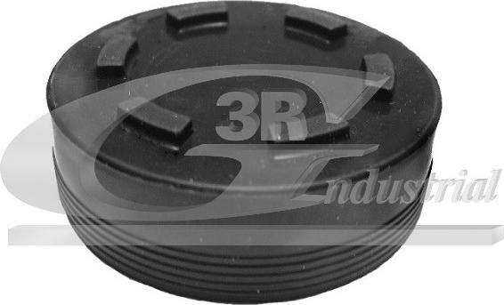 3RG 84700 - Plug, rocker arm shaft mounting bore www.autospares.lv