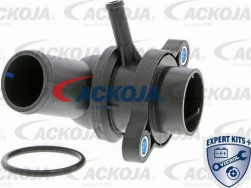 ACKOJA A51-99-0004 - Termostats, Dzesēšanas šķidrums autospares.lv