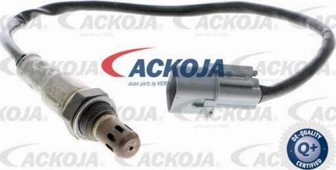 ACKOJA A52-76-0016 - Лямбда-зонд, датчик кислорода www.autospares.lv