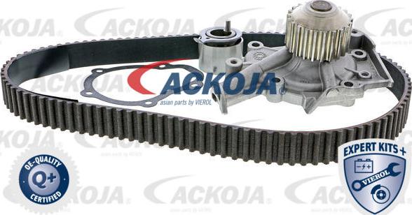 ACKOJAP A51-0202W - Ūdenssūknis + Zobsiksnas komplekts www.autospares.lv