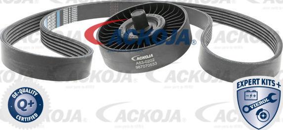 ACKOJAP A53-0202 - Ķīļrievu siksnu komplekts autospares.lv