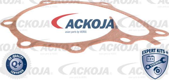 ACKOJAP A53-0702 - Ūdenssūknis www.autospares.lv