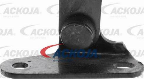 ACKOJAP A52-0077 - Parazīt / Vadrullītis, Zobsiksna www.autospares.lv