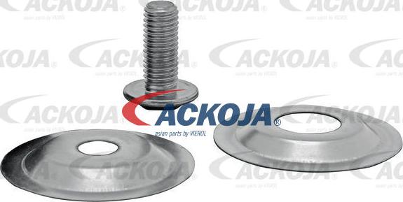 ACKOJAP A52-0321 - Parazīt / Vadrullītis, Ķīļrievu siksna www.autospares.lv