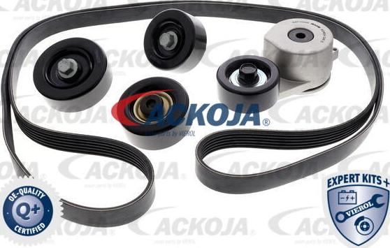 ACKOJAP A52-0211 - Ķīļrievu siksnu komplekts www.autospares.lv