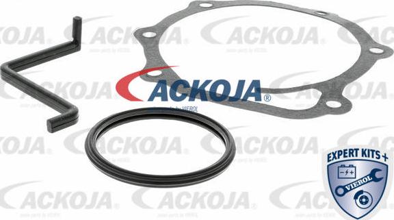 ACKOJAP A63-50003 - Ūdenssūknis www.autospares.lv