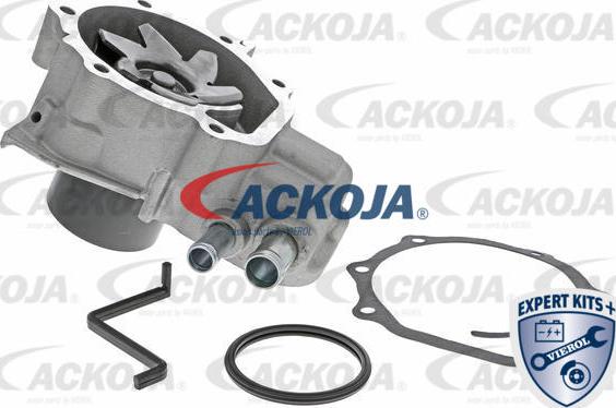 ACKOJAP A63-50003 - Ūdenssūknis www.autospares.lv