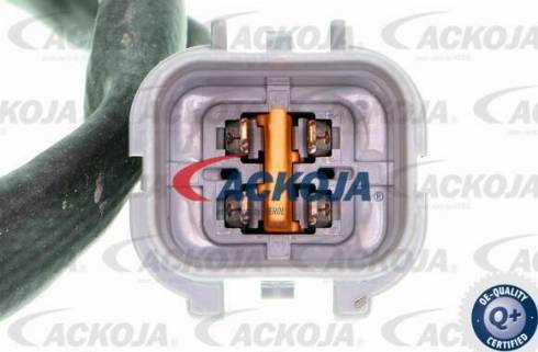 ACKOJAP A38-40008 - Bremžu diski www.autospares.lv