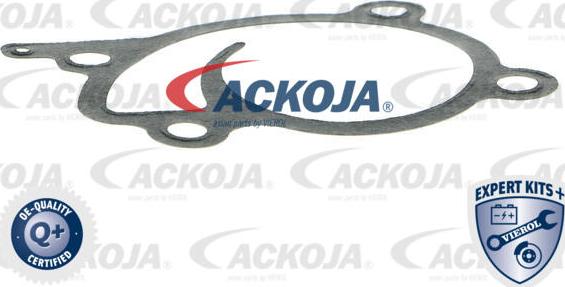 ACKOJAP A38-50009 - Ūdenssūknis www.autospares.lv