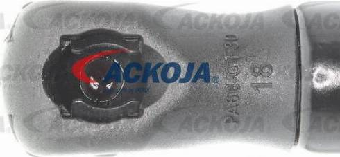 ACKOJAP A38-06-0007 - Sausinātājs, Kondicionieris www.autospares.lv