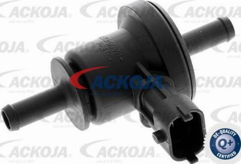 ACKOJAP A38-0395 - Parazīt / Vadrullītis, Ķīļrievu siksna www.autospares.lv