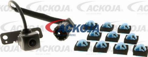 ACKOJAP A38-0351 - Stiepnis / Atsaite, Stabilizators www.autospares.lv