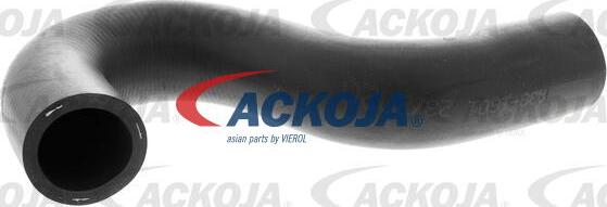 ACKOJAP A38-1601 - Radiatora cauruļvads www.autospares.lv