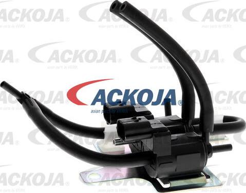 ACKOJAP A32-0026 - Kompresors, Turbopūte www.autospares.lv