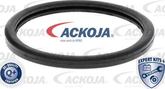 ACKOJAP A37-99-0006 - Termostats, Dzesēšanas šķidrums www.autospares.lv