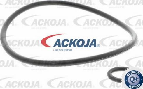 ACKOJAP A37-1151 - Stiepnis / Atsaite, Stabilizators www.autospares.lv