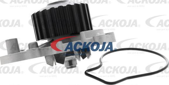 ACKOJAP A26-50011 - Ūdenssūknis www.autospares.lv