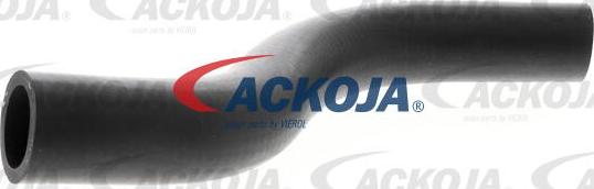 ACKOJAP A26-1600 - Radiatora cauruļvads www.autospares.lv