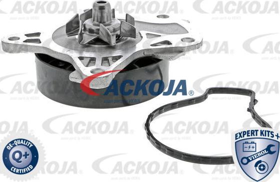 ACKOJAP A70-50006 - Ūdenssūknis www.autospares.lv