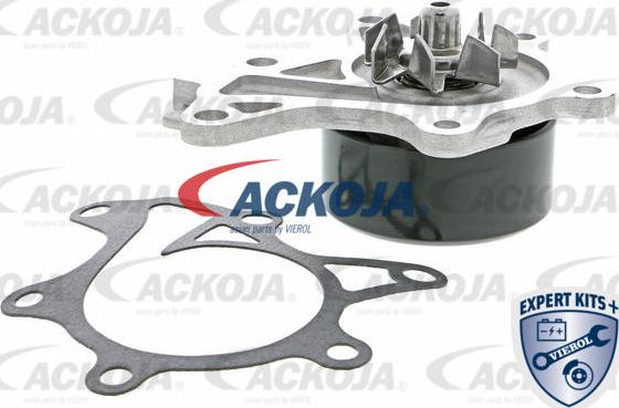 ACKOJAP A70-50024 - Ūdenssūknis www.autospares.lv