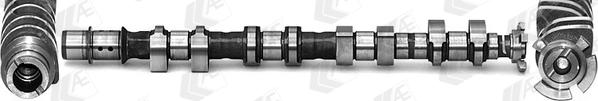 AE CAM1014 - Sadales vārpsta www.autospares.lv