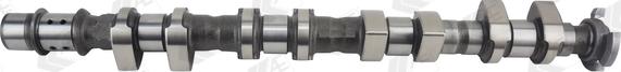 AE CAM1020 - Sadales vārpsta www.autospares.lv