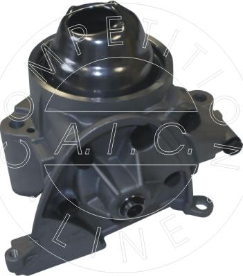 AIC 54706 - Eļļas sūknis www.autospares.lv