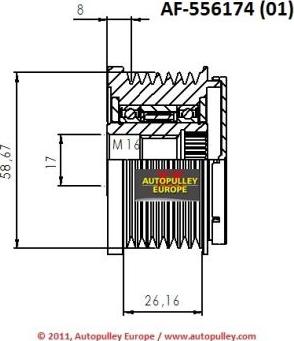 AINDE AF556174 - Шкив генератора, муфта www.autospares.lv