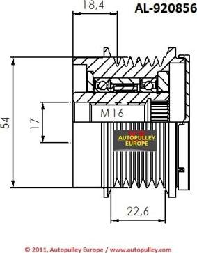 AINDE AL920856 - Piedziņas skriemelis, Ģenerators www.autospares.lv