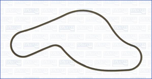 Ajusa 00855900 - Blīve, Ūdenssūknis www.autospares.lv