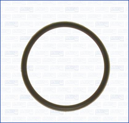 Ajusa 01029000 - Blīve, Termostats www.autospares.lv