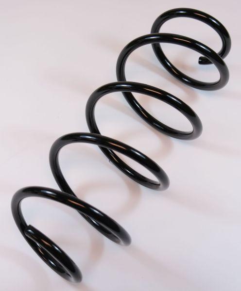 APEX 66505 - Coil Spring www.autospares.lv