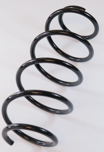 APEX 66745 - Coil Spring www.autospares.lv