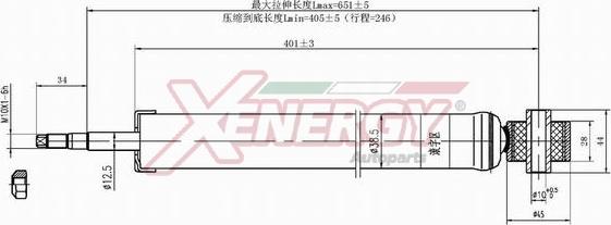 AP XENERGY X438343 - Shock Absorber www.autospares.lv