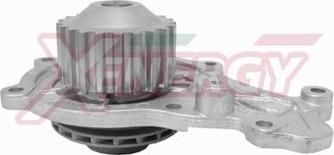 AP XENERGY X202942 - Water Pump www.autospares.lv