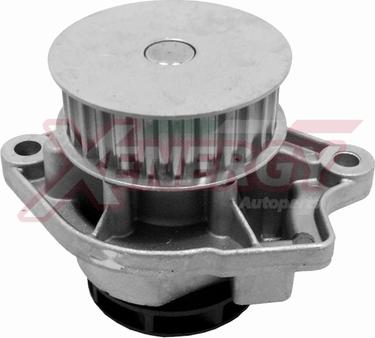 AP XENERGY X202122 - Ūdenssūknis www.autospares.lv