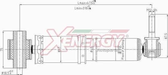 AP XENERGY X704344 - Shock Absorber www.autospares.lv