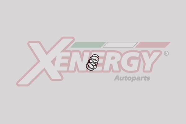 AP XENERGY XSA7329 - Coil Spring www.autospares.lv