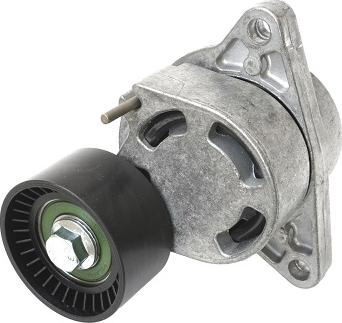 ASAM 101305 - Натяжитель, поликлиновый ремень www.autospares.lv