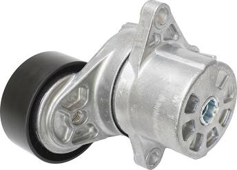 ASAM 101290 - Натяжитель, поликлиновый ремень www.autospares.lv