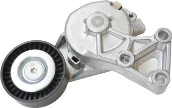 ASAM 101283 - Натяжитель, поликлиновый ремень www.autospares.lv