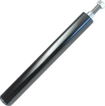 ASAM 70450 - Shock Absorber www.autospares.lv