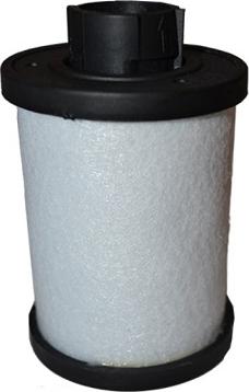 ASAM 70231 - Fuel filter www.autospares.lv