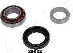 Ashika 44-29022 - Riteņa rumbas gultņa komplekts www.autospares.lv