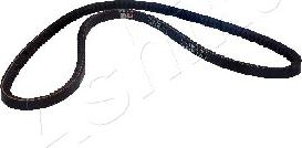 Ashika 109-10X1013 - Клиновой ремень, поперечные рёбра www.autospares.lv