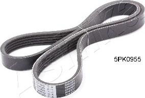 Ashika 112-5PK955 - V-Ribbed Belt www.autospares.lv