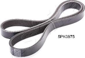 Ashika 112-5PK975 - V-Ribbed Belt www.autospares.lv