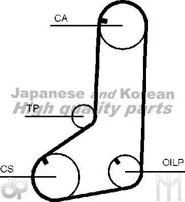 Ashuki C751-31 - Timing Belt www.autospares.lv